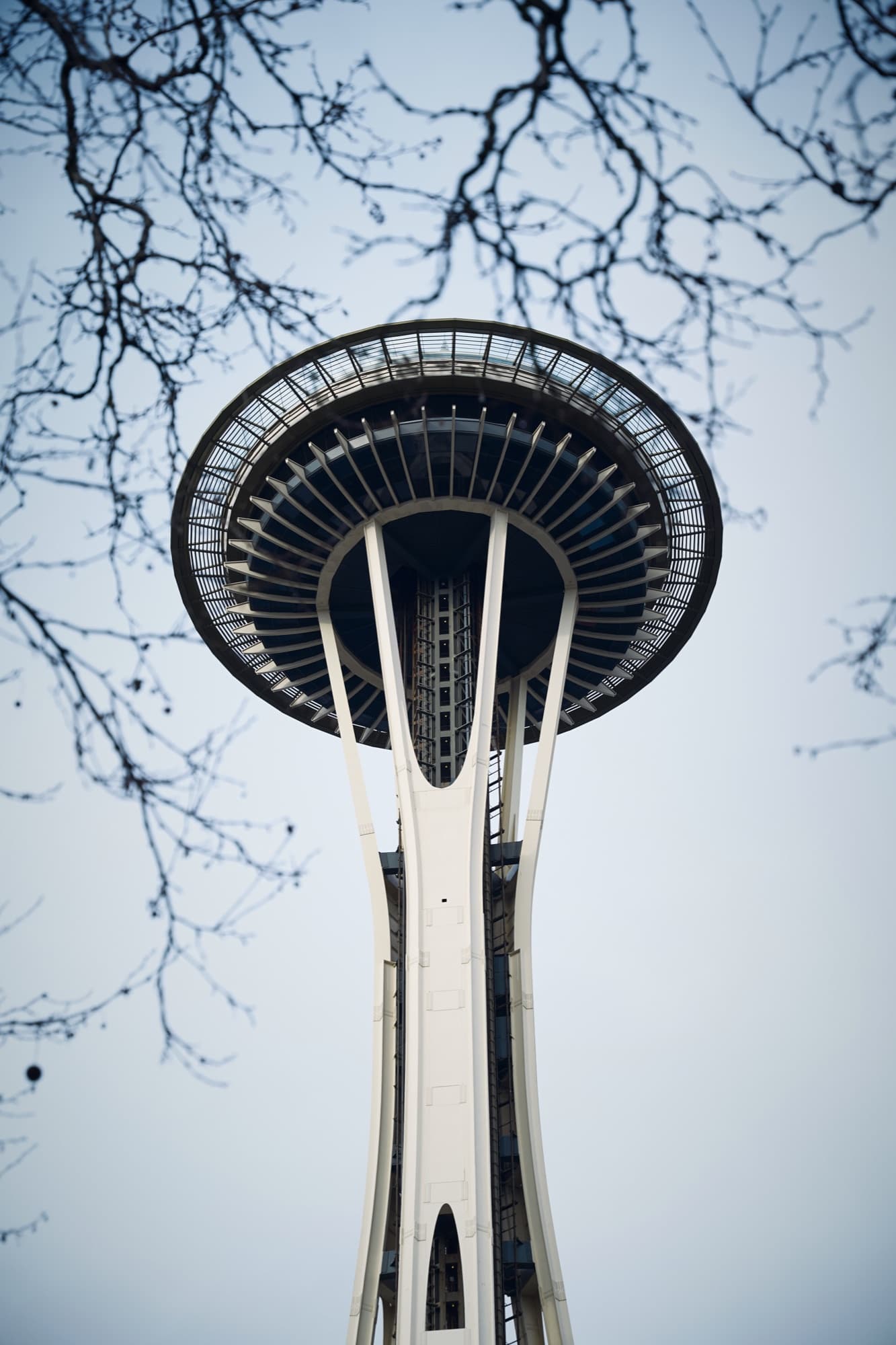 Through Branches — travel, architecture & landscape photography by 12 Bit Studios